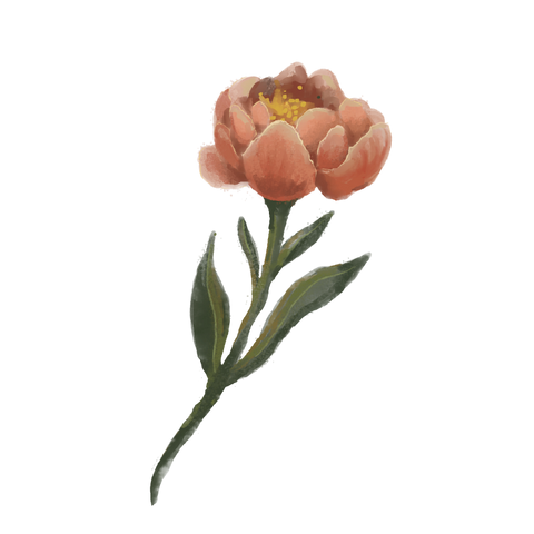 Aptfiive Illustrated Peony Flower Icon